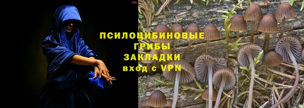 соль ск Белокуриха