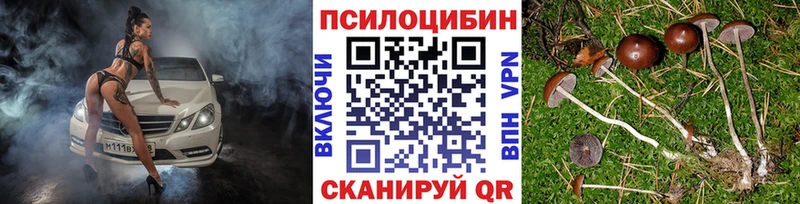 купить наркотики сайты  мега ONION  Псилоцибиновые грибы Cubensis  Краснокаменск 